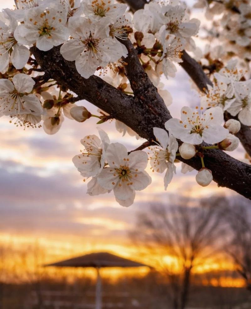 Ölkə ərazisində havanın temperaturu 5-8 dərəcə enəcək