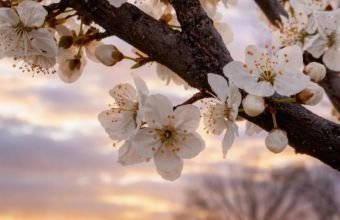 Ölkə ərazisində havanın temperaturu 5-8 dərəcə enəcək