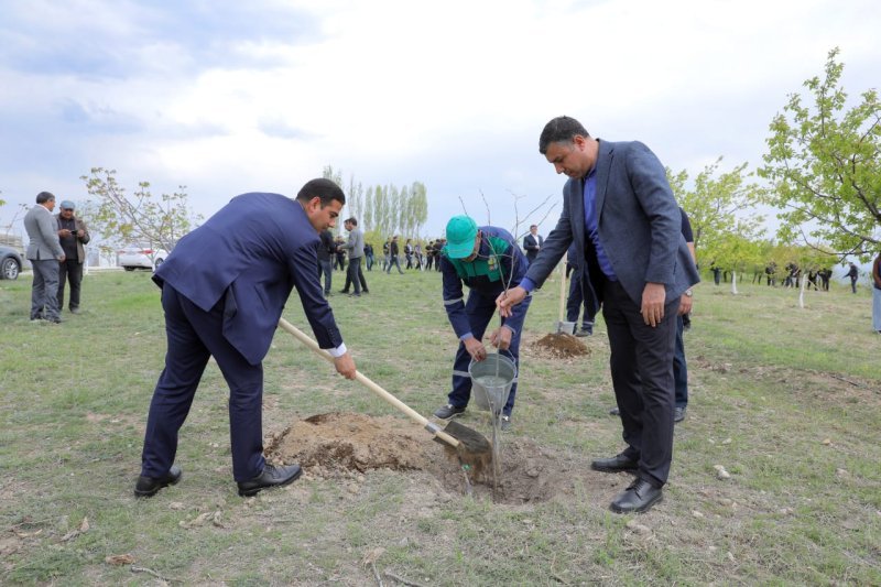 Prokurorluq əməkdaşları növbəti ağacəkmə kampaniyası keçirib -