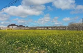 Qarabağda torpaqların icarəyə verilməsi üzrə növbəti müsabiqə elan edilib