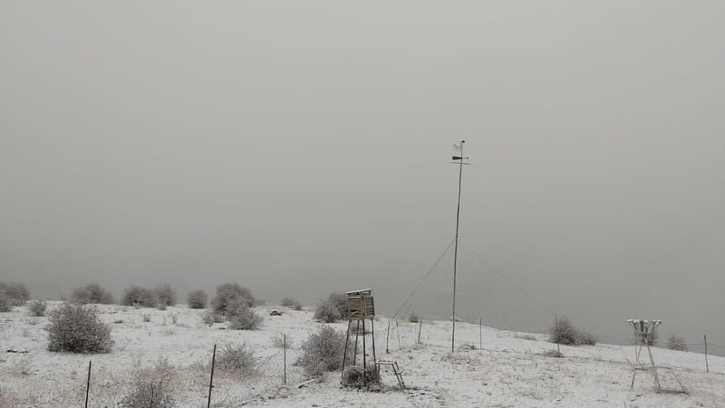 Şahbuz, Şərur və Ordubad rayonlarına qar yağır