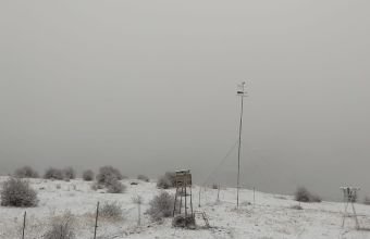 Şahbuz, Şərur və Ordubad rayonlarına qar yağır