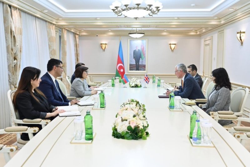 Sahibə Qafarova  Britaniya səfiri ilə görüşüb
