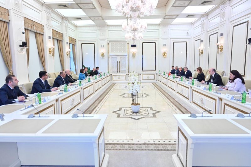 Sahibə Qafarova Muhsin Şentürkün rəhbərlik etdiyi nümayəndə heyəti ilə görüşüb