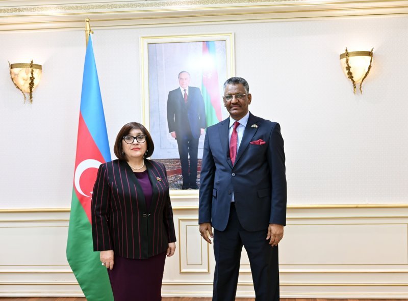 Sahibə Qafarova Sudanın ölkəmizdəki fövqəladə və səlahiyyətli səfiri ilə görüşüb