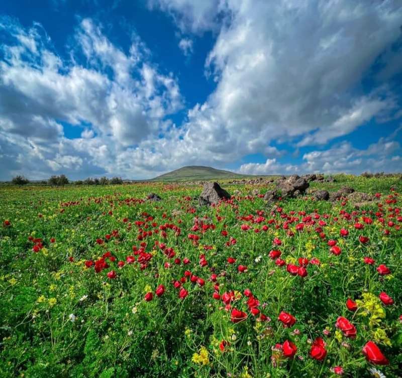 Yağış yağacaq, çaylardan sel keçəcək -