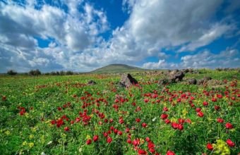 Yağış yağacaq, çaylardan sel keçəcək -