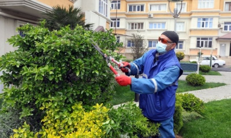 İctimai işlər cəzası nədir? -