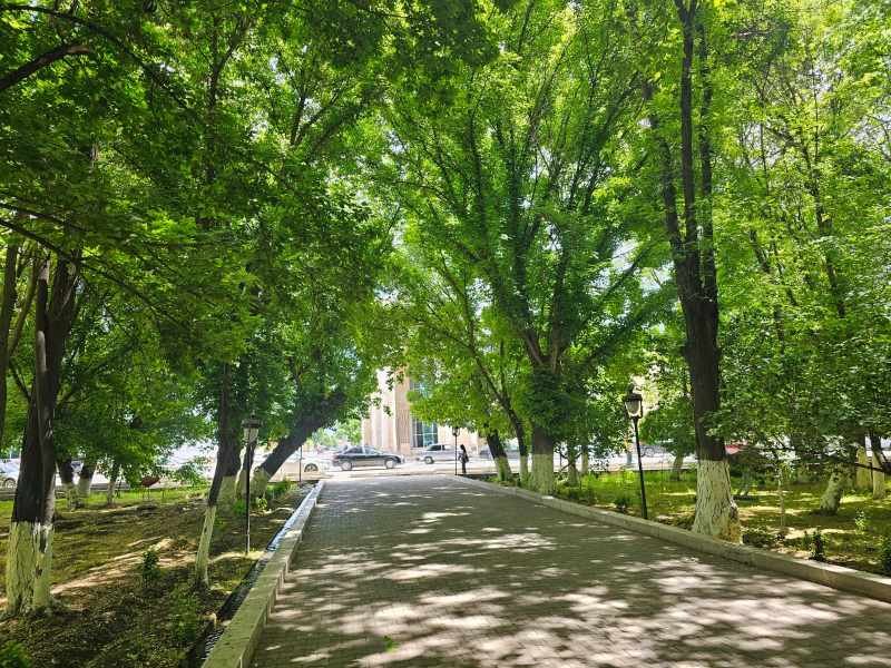 Naxçıvan şəhərinin mərkəzindəki "Böyük bağ"da abadlaşdırma işləri aparılacaq
