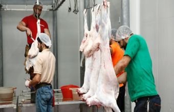 Naxçıvanda 9 ünvanda qurbanlıq  heyvanların satışı və kəsimi təşkil olunacaq