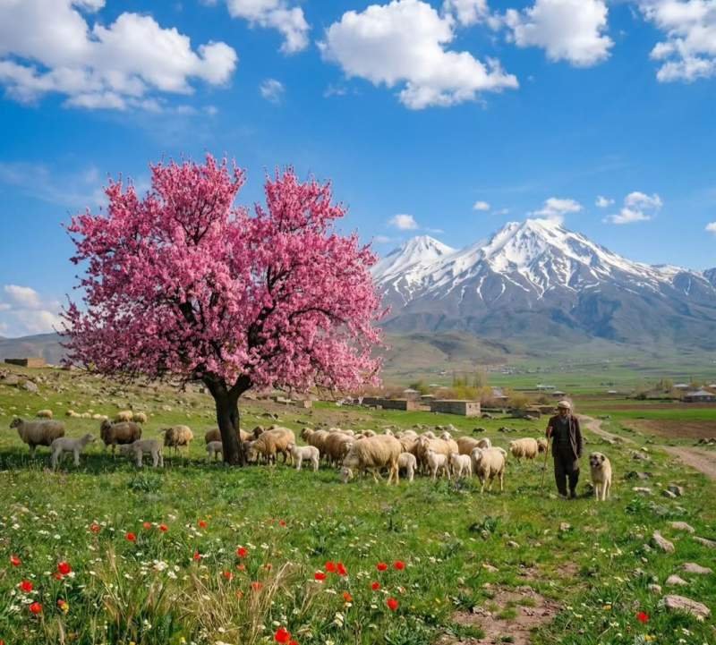 Naxçıvanda küləkli hava gözlənilir