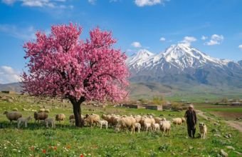 Naxçıvanda küləkli hava gözlənilir