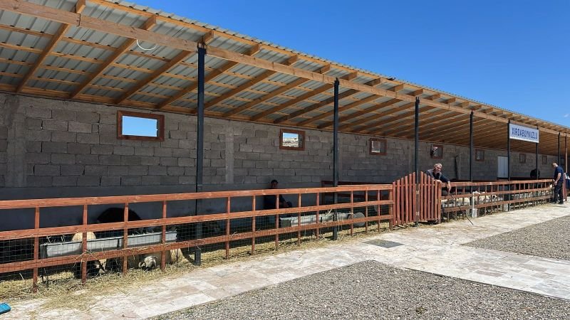 Naxçıvanda qurbanlıq heyvanların satışı və kəsimi xidmətləri göstərilir