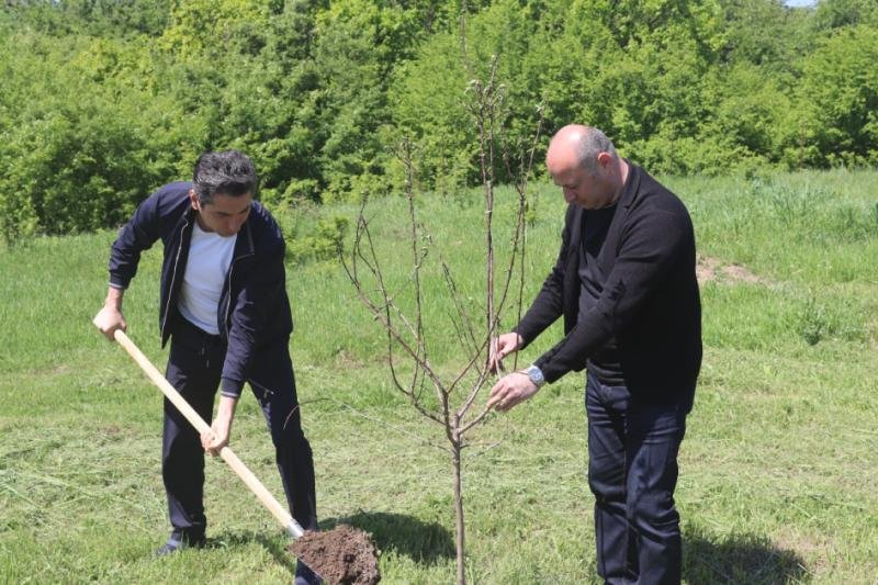 Xocalıda ağacəkmə aksiyası keçirilib