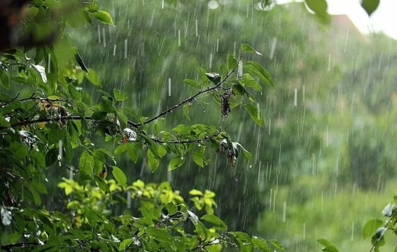 Yağıntılı hava şəraiti davam edir -