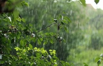 Yağıntılı hava şəraiti davam edir -
