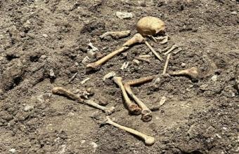 Ağdamda qazıntı zamanı insan skeletinə bənzər qalıqlar aşkarlanıb