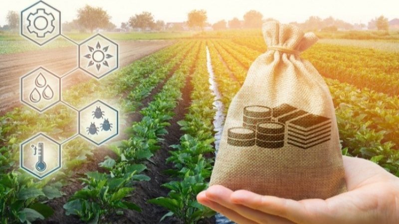 Aqrar sahədə kredit faizlərinin subsidiyalaşdırılması ilə bağlı banklara məlumat veriləcək