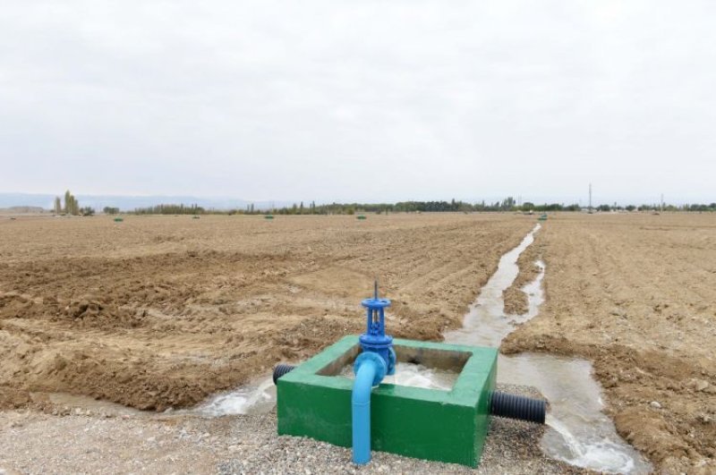 Azərbaycanda 1,5 milyon hektar suvarılan ərazi var