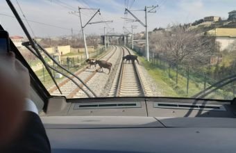 Bu il dəmir yolu keçidlərində 15 yol-nəqliyyat hadisəsi qeydə alınıb
