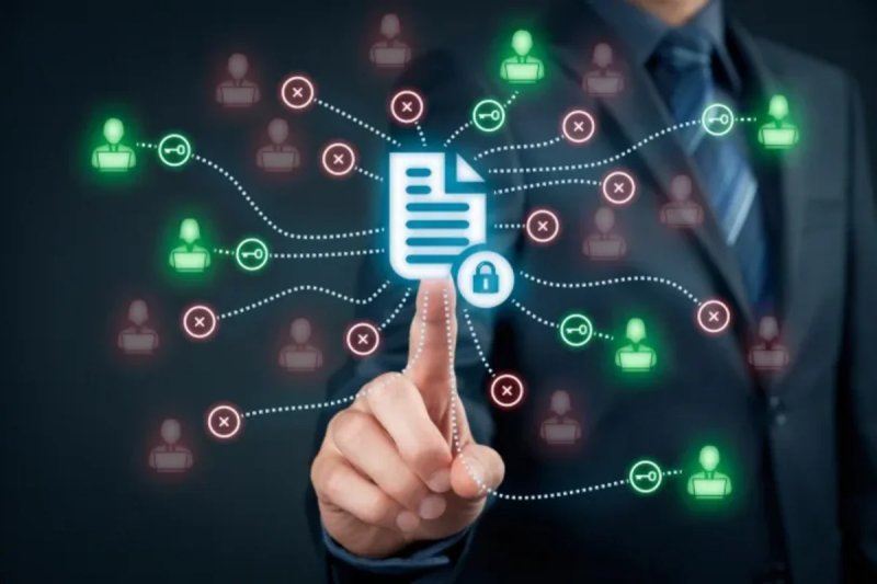 İnformasiya və rabitə sektoruna investisiya qoyuluşu artıb