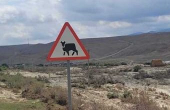Maşınla heyvan vurmuşam, avtomobilə dəymiş zərər hansı qaydada ödənilməlidir? -