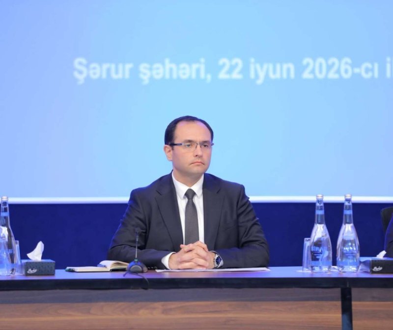 Məcnun Məmmədov: "Zəngəzur dəhlizi Naxçıvandan aqrar məhsul ixracına imkan yaradacaq"