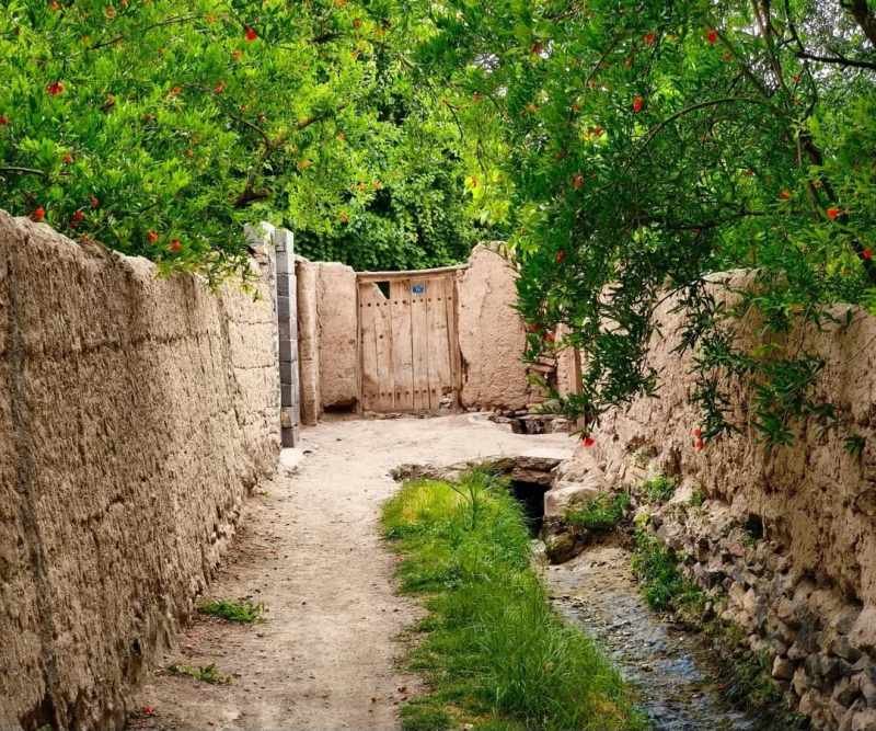 Naxçıvan və bir sıra rayonlarda yağıntılı hava davam edir