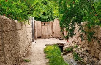 Naxçıvan və bir sıra rayonlarda yağıntılı hava davam edir