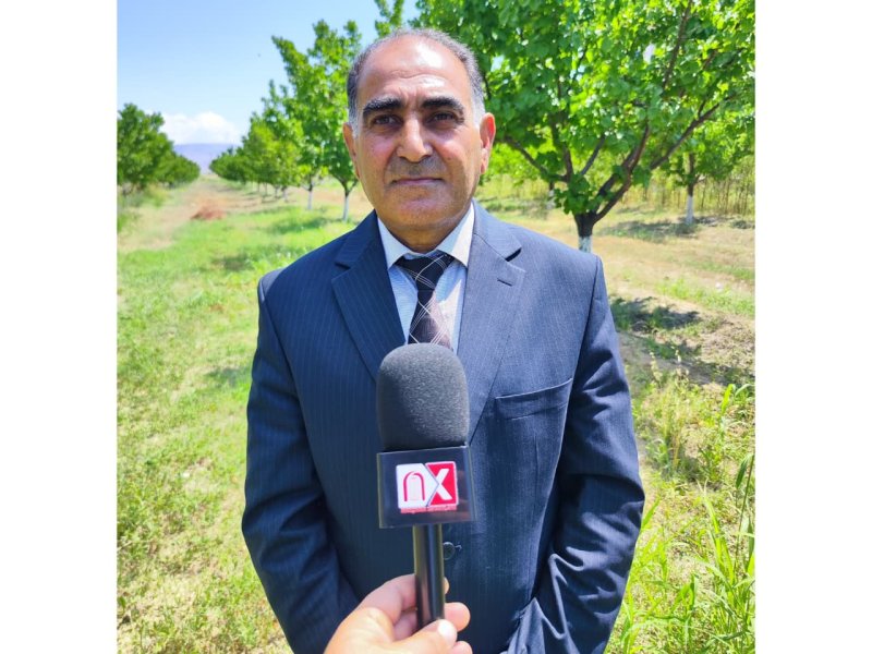 Naxçıvanda 6 min hektardan çox sahədə qapalı suvarma sistemi tətbiq olunub