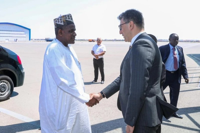 Niger Məsləhət Şurasının sədri Azərbaycana işgüzar səfərə gəlib