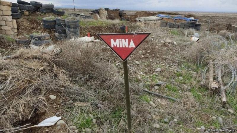 Ötən həftə 113 mina zərərsizləşdirilib