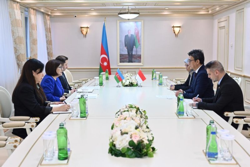 Sahibə Qafarova Berlian Helmini qəbul edib