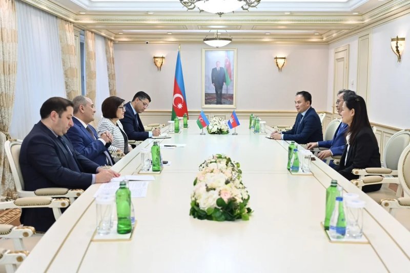 Sahibə Qafarova Thun Vathana ilə görüşüb