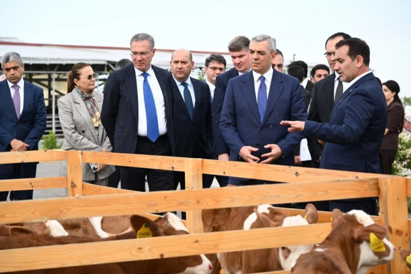 Xocalıda "Qoç Ət"in heyvandarlıq kompleksi ilə tanışlıq olub -