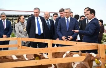 Xocalıda "Qoç Ət"in heyvandarlıq kompleksi ilə tanışlıq olub -