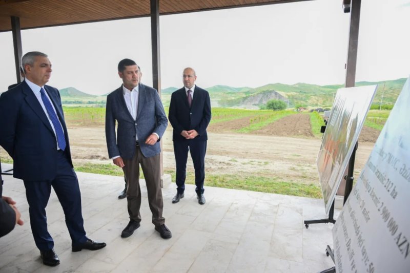 Xocalıda salınmış intensiv bağçılıq təsərrüfatları ilə tanışlıq -