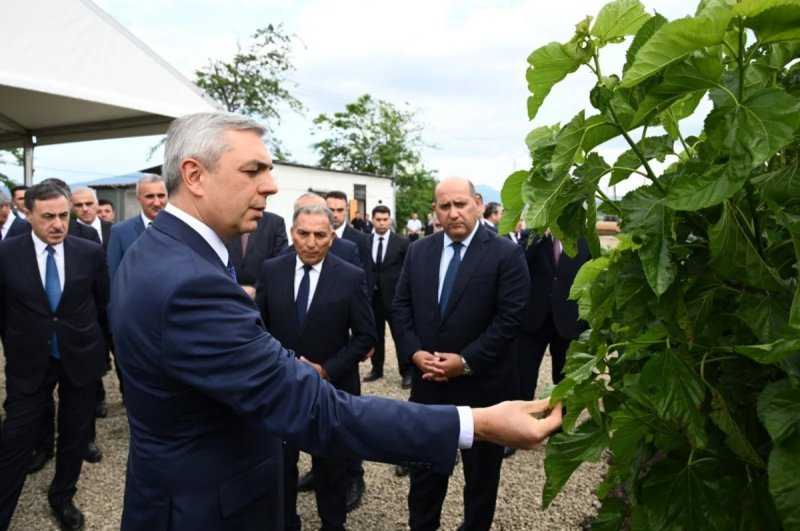 Xocalının Daşbulaq kəndində baramaçılığın inkişafı üçün yaradılmış infrastruktura baxış keçirilib