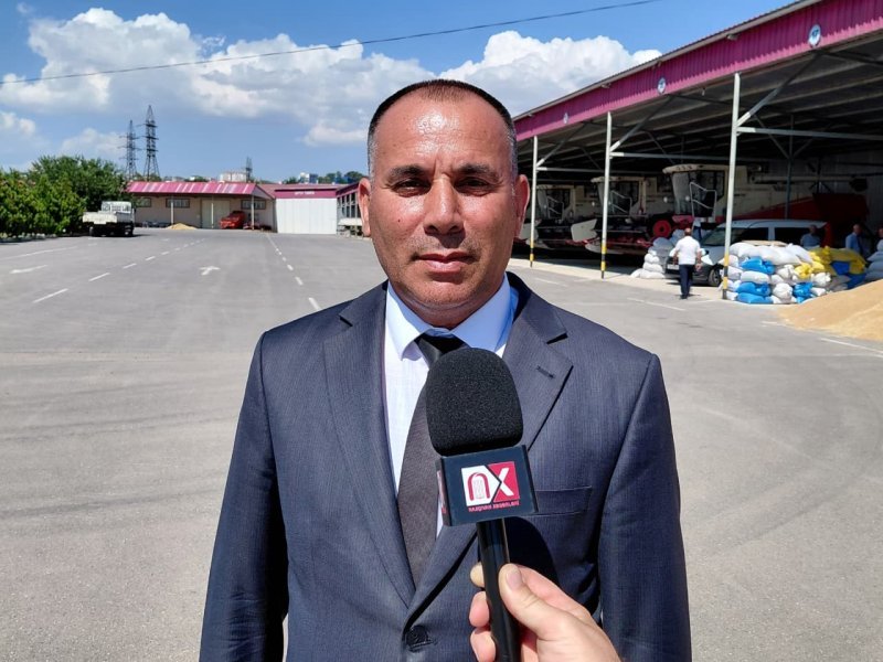 Fariz Şıxəliyev: Naxçıvan şəhərində taxıl biçini yekunlaşmaq üzrədir