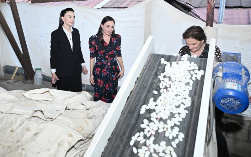Leyla Əliyeva “Azəripək” ASC-nin fəaliyyəti ilə yaxından tanış olub -