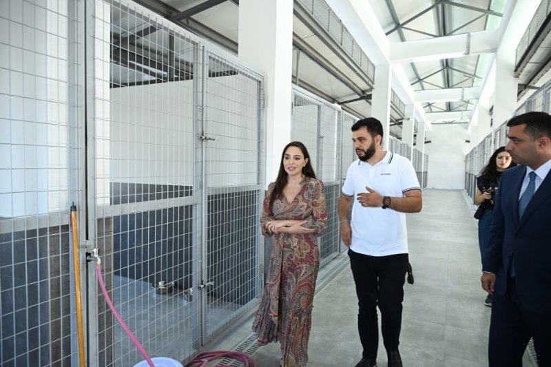 Leyla Əliyeva Sahibsiz Heyvanlara Qayğı Mərkəzinin regional bölməsinin açılışında iştirak edib -