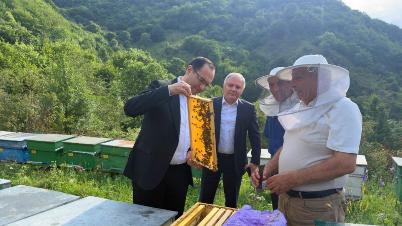 Məcnun Məmmədov Kəlbəcərdə təsərrüfatlara baxış keçirib