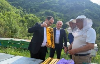 Məcnun Məmmədov Kəlbəcərdə təsərrüfatlara baxış keçirib