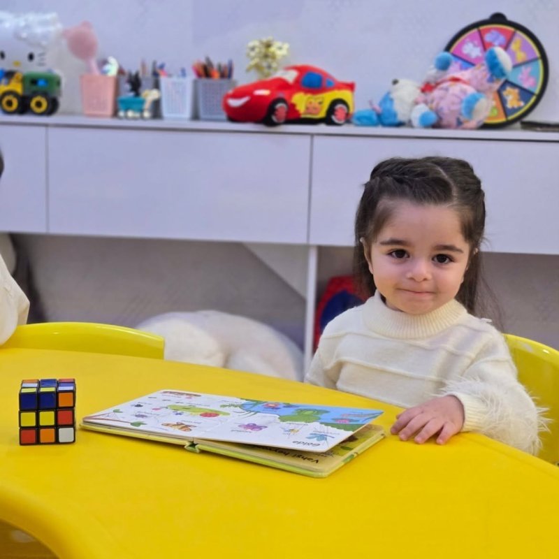 Naxçıvanda bağçalara elektron qəbul başlayacaq