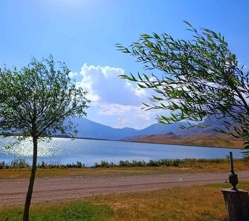 Naxçıvanda küləkli hava ilə bağlı sarı xəbərdarlıq verilib