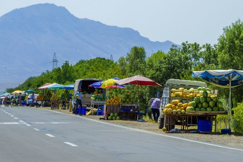 Naxçıvanın məşhur Nehrəm qarpızı bazarlara çıxmağa başlayıb -