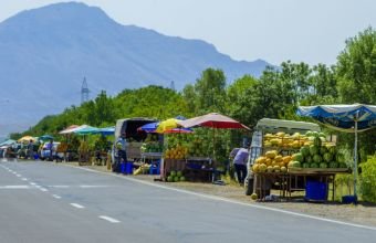 Naxçıvanın məşhur Nehrəm qarpızı bazarlara çıxmağa başlayıb -