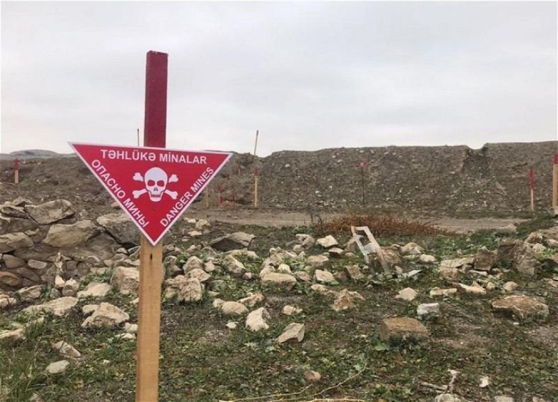 Ötən həftə 2300 hektardan çox ərazi minalardan təmizlənib