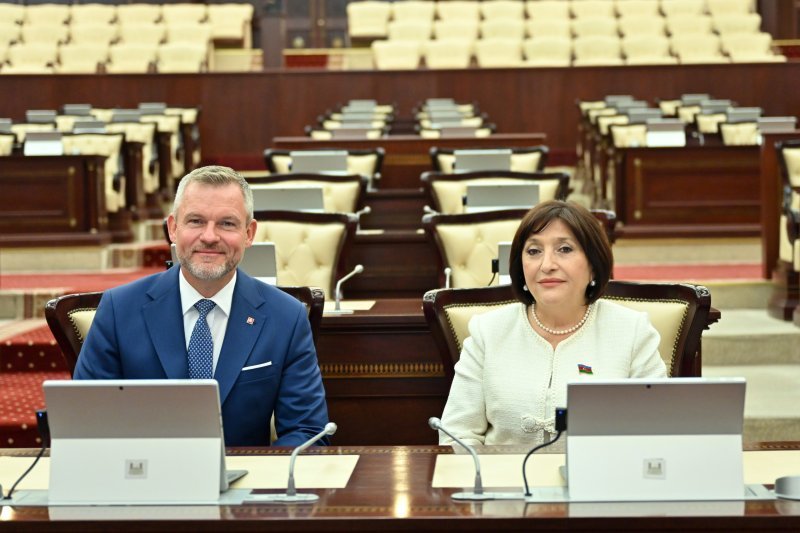 Sahibə Qafarova Slovakiya Prezidenti ilə görüşüb