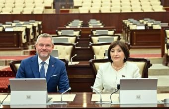 Sahibə Qafarova Slovakiya Prezidenti ilə görüşüb